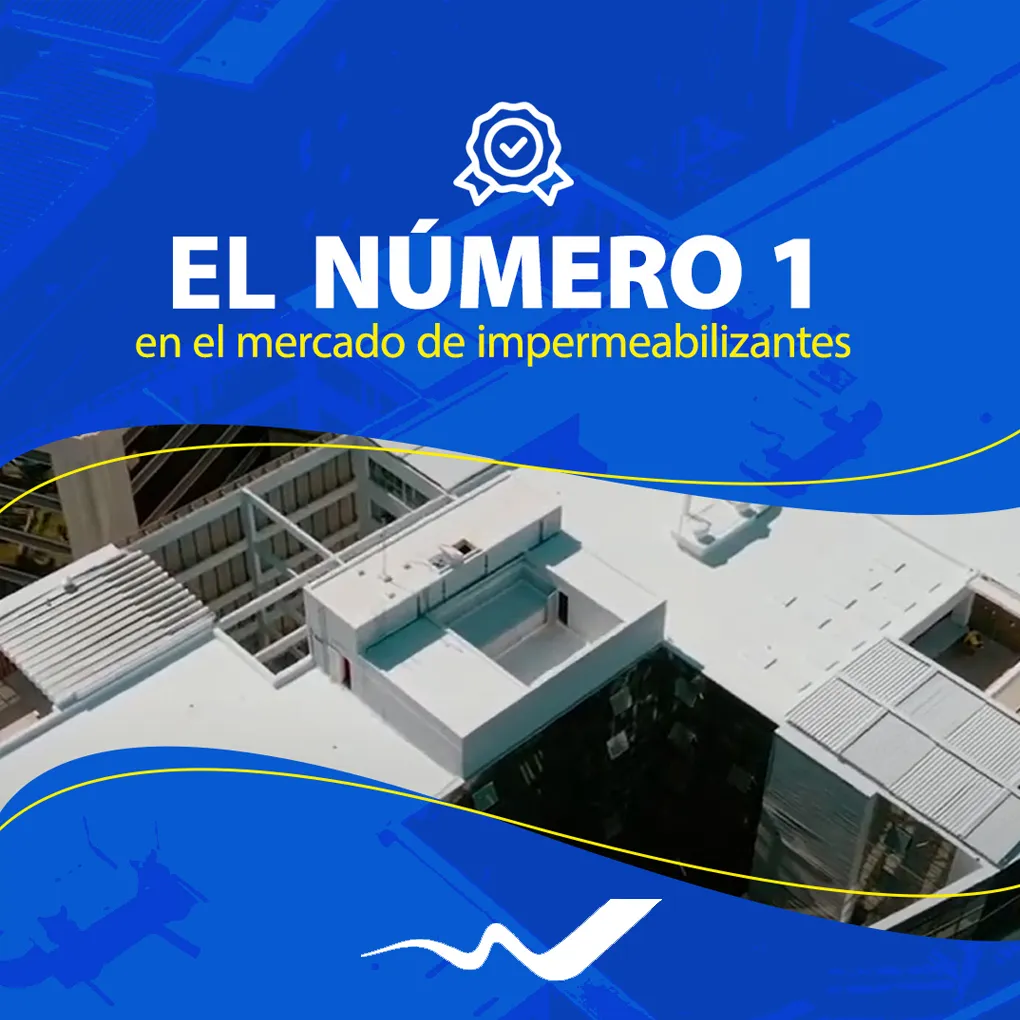 Número 1 MELI.webp