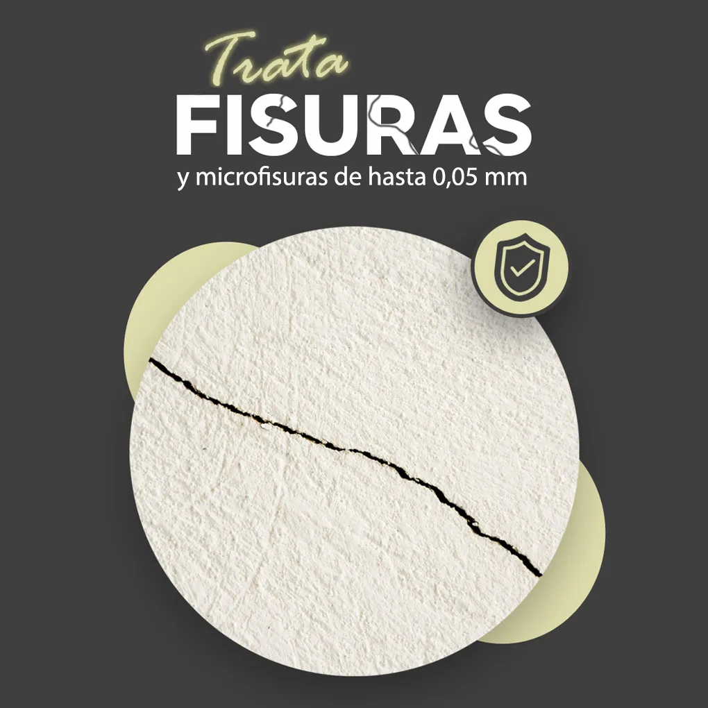 Fisuras MELI.webp